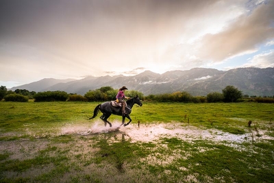 Woman riding horseback across a field.