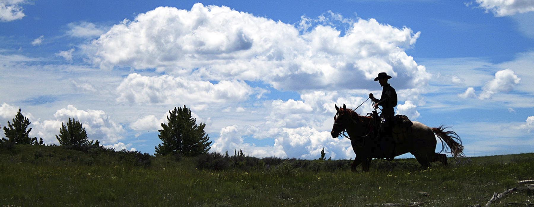 Silhouette of a cowboy on the range.
