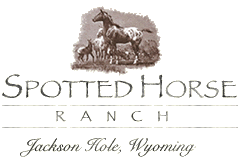 Spotted Horse Ranch logo.