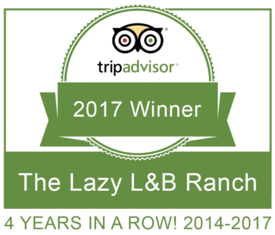Text: TripAdvisor Certificate of Excellence - 2017 Winner. 4 Years in a row! 2014-2017.