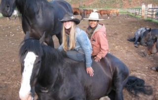 Cowgirls sitting on a Clydesdale.