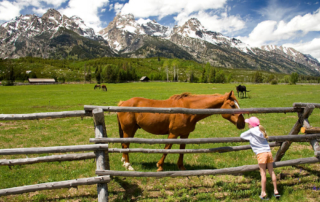 Photo of child and horse during a family dude ranch vacation