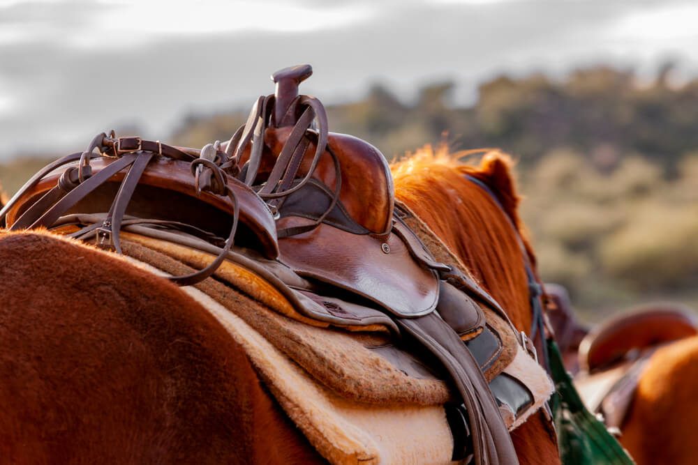 Photo of horse saddle at one of our members of the Wyoming Dude Ranchers Association