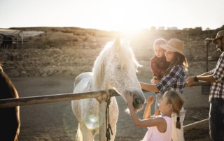 Family petting horses on a ranch during a family reunion in Wyoming