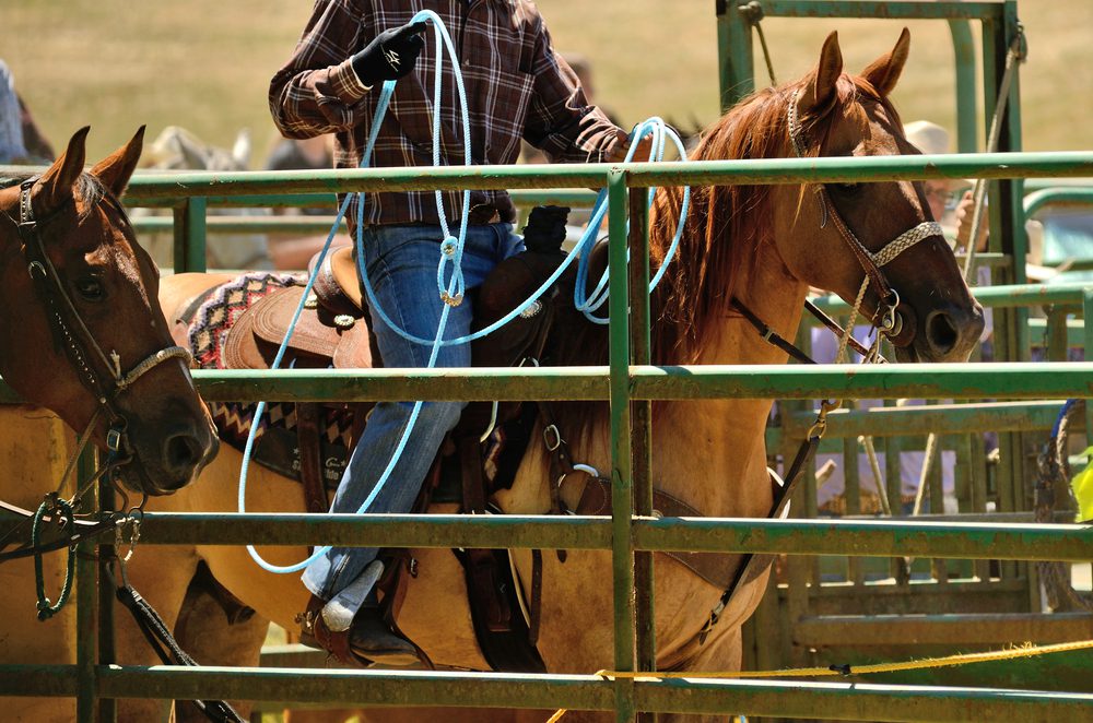 wrangler on a horse, a popular dude ranch employment opportunity