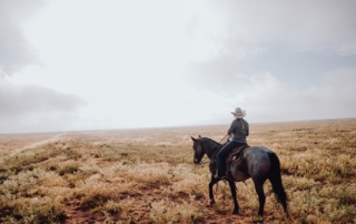 person with cowboy hat riding a horse in nature