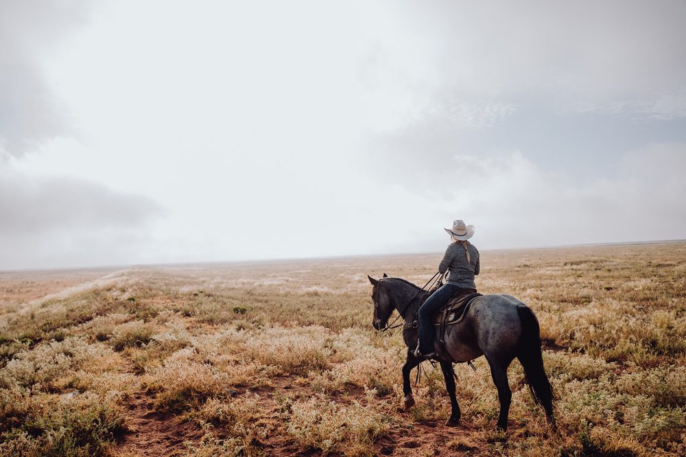 person with cowboy hat riding a horse in nature