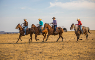 group of friends riding horses during a dude ranch bachelor party