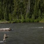 Crossed Sabres_WY__C1A3194