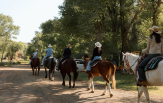 people riding horses next to green trees